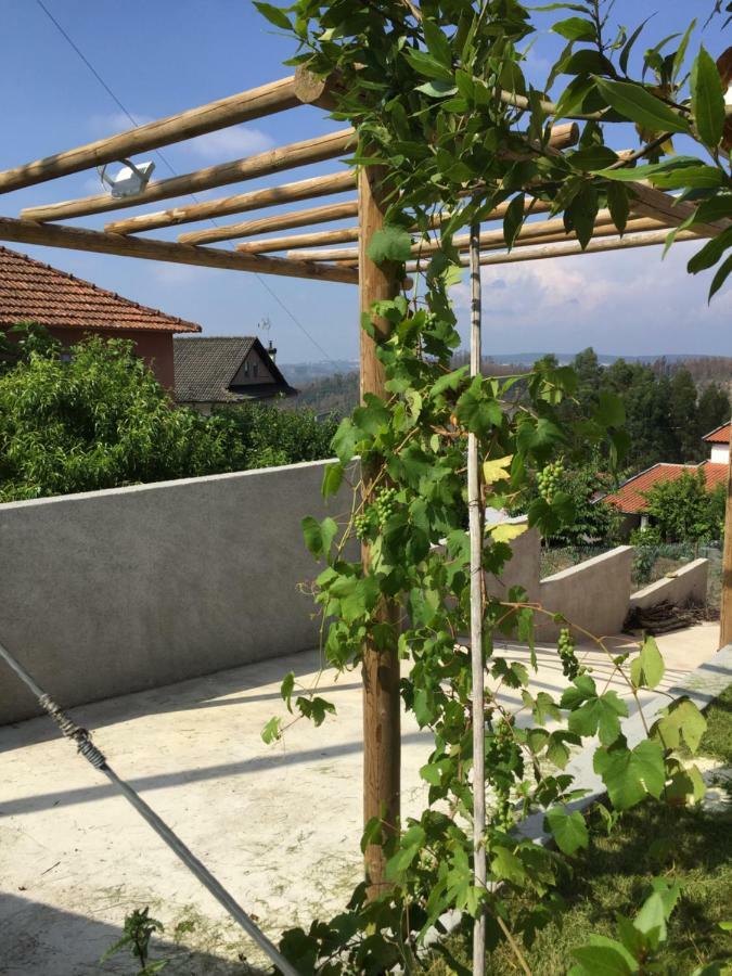 Vale Coelhos Casa De Campo Sarnadela Kültér fotó